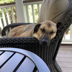 Fundraising Page: Alex Meier